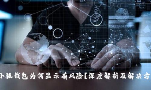  小狐錢包為何顯示有風險？深度解析及解決方案