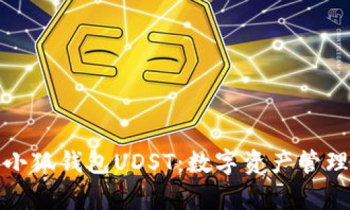全面解析小狐錢包UDST：數字資產管理的新選擇