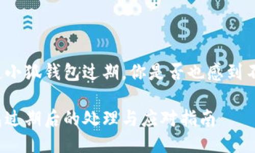 每當(dāng)提起小狐錢包過期，你是否也感到不知所措？

小狐錢包過期后的處理與應(yīng)對指南