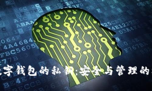 : 數(shù)字錢(qián)包的私鑰：安全與管理的核心