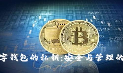 : 數(shù)字錢(qián)包的私鑰：安全與管理的核心