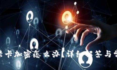 vivo錢包門禁卡加密怎么辦？詳細解答與常見問題解析