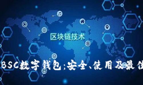 了解BSC數(shù)字錢包：安全、使用及最佳實踐