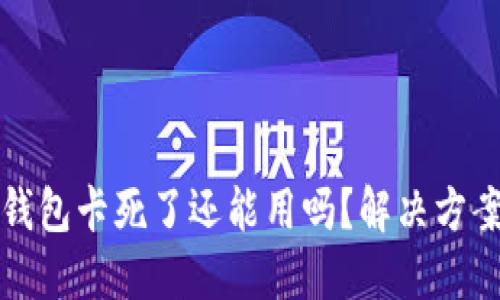 小狐錢包卡死了還能用嗎？解決方案詳解