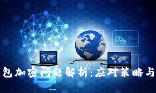 狗狗幣錢包加密問題解析：應對策略與解決方案