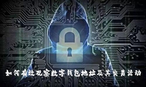 如何有效觀察數(shù)字錢包地址及其交易活動