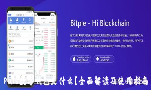   
Puls數(shù)字錢(qián)包是什么？全面解讀及使用指南