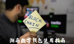 湖南數字錢包使用指南