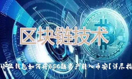 : 小狐錢包如何將BSC鏈資產(chǎn)轉(zhuǎn)入幣安？詳盡指南