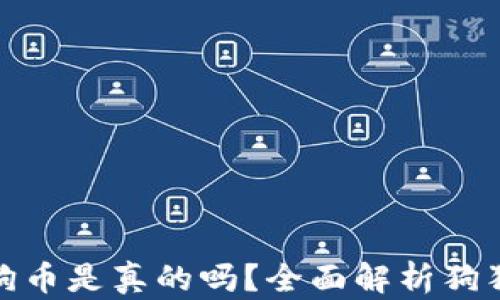 
小狐錢包存狗狗幣是真的嗎？全面解析狗狗幣存儲安全性
