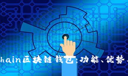 全面解析Chain區(qū)塊鏈錢包：功能、優(yōu)勢與應(yīng)用場景