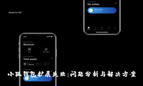 小狐錢包擴(kuò)展失?。簡栴}分析與解決方案