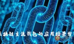 區(qū)塊鏈主流錢(qián)包的應(yīng)用場(chǎng)