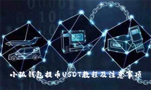 小狐錢(qián)包提幣USDT教程及注意事項(xiàng)