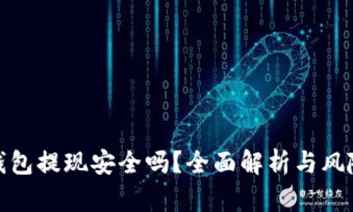 數(shù)字錢包提現(xiàn)安全嗎？全面解析與風(fēng)險(xiǎn)防控