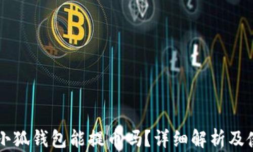 
中本聰小狐錢(qián)包能提幣嗎？詳細(xì)解析及使用指南
