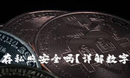 小狐錢包保存私照安全嗎？詳解數(shù)字資產(chǎn)安全性