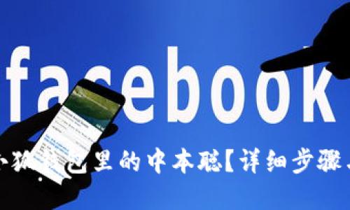 如何找回小狐錢包里的中本聰？詳細步驟與解決方案