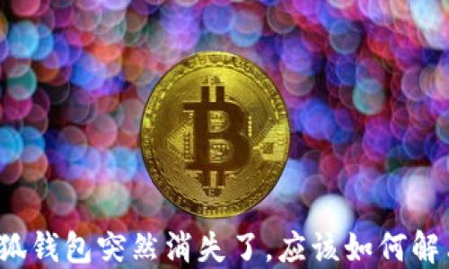 
小狐錢包突然消失了，應該如何解決？