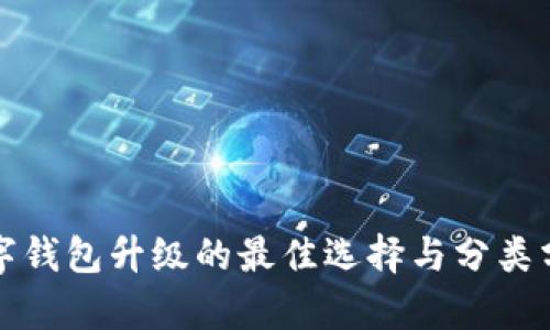 數(shù)字錢包升級(jí)的最佳選擇與分類分析