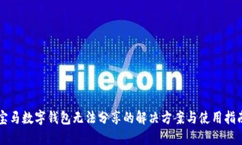 寶馬數(shù)字錢包無法分享的解決方案與使用指南