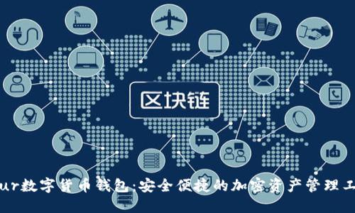 Blur數(shù)字貨幣錢(qián)包：安全便捷的加密資產(chǎn)管理工具