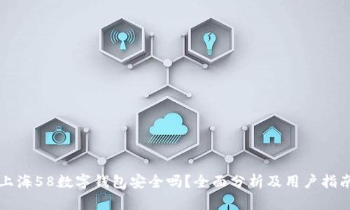 上海58數(shù)字錢(qián)包安全嗎？全面分析及用戶指南