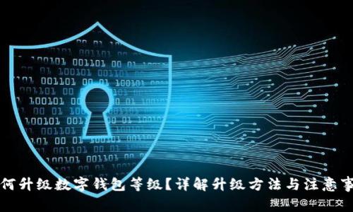 如何升級(jí)數(shù)字錢包等級(jí)？詳解升級(jí)方法與注意事項(xiàng)