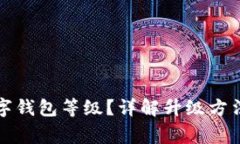 如何升級數(shù)字錢包等級？