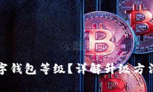 如何升級(jí)數(shù)字錢包等級(jí)？詳解升級(jí)方法與注意事項(xiàng)