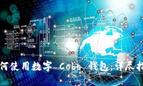 如何使用數字 Cobo 錢包：詳盡指南