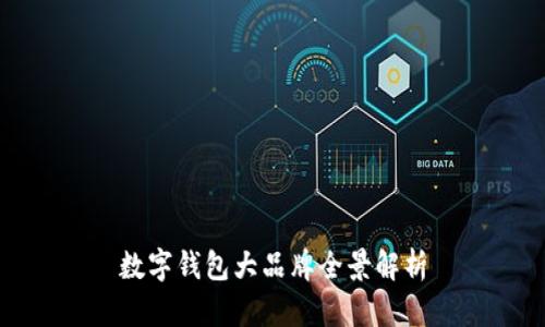 數(shù)字錢(qián)包大品牌全景解析