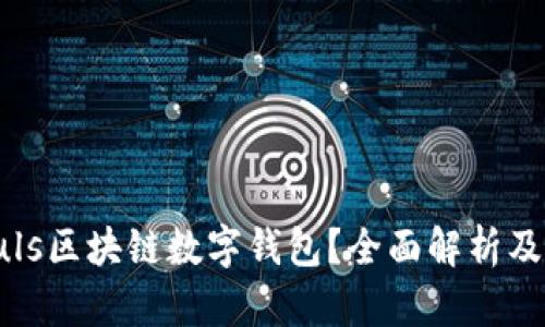 什么是Puls區(qū)塊鏈數(shù)字錢包？全面解析及應(yīng)用前景