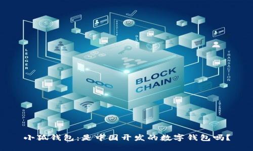 小狐錢包：是中國開發(fā)的數(shù)字錢包嗎？