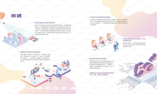 小狐錢包能在電腦上使用嗎？