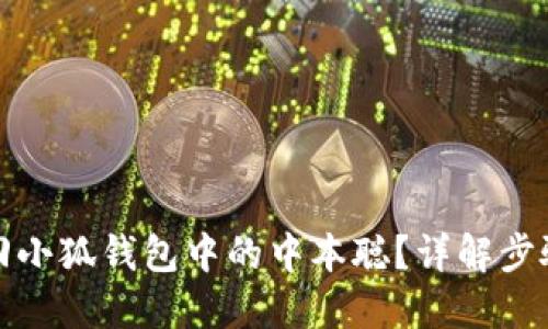 如何找回小狐錢包中的中本聰？詳解步驟與技巧