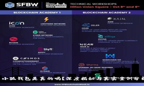  小狐錢包是真的嗎？深度揭秘與真實案例分析