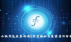  小狐錢包是真的嗎？深度