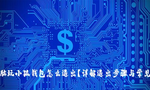 : 電腦玩小狐錢包怎么退出？詳解退出步驟與常見問題