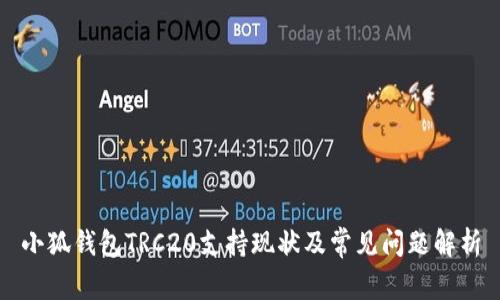 小狐錢包TRC20支持現(xiàn)狀及常見問題解析