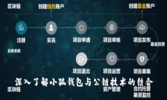 深入了解小狐錢(qián)包與公鏈