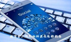 數(shù)字資產(chǎn)錢包的種類及選