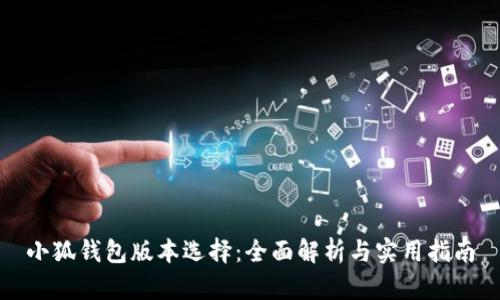 小狐錢包版本選擇：全面解析與實用指南