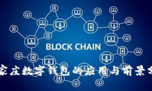 石家莊數字錢包的應用與前景分析
