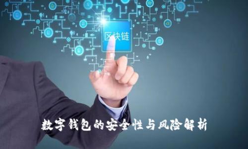數(shù)字錢包的安全性與風(fēng)險解析