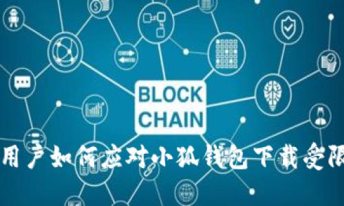 中國用戶如何應對小狐錢包下載受限問題