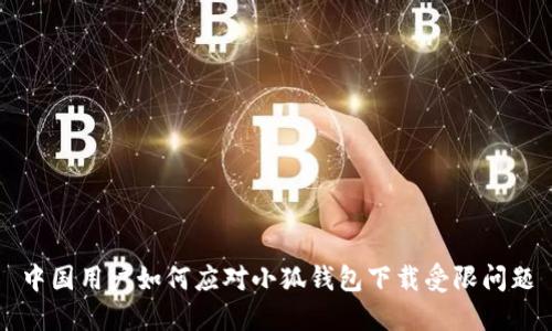中國用戶如何應對小狐錢包下載受限問題