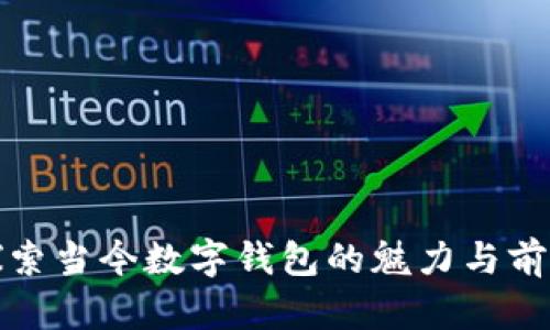 探索當(dāng)今數(shù)字錢包的魅力與前景