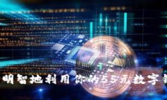 如何明智地利用你的55元數