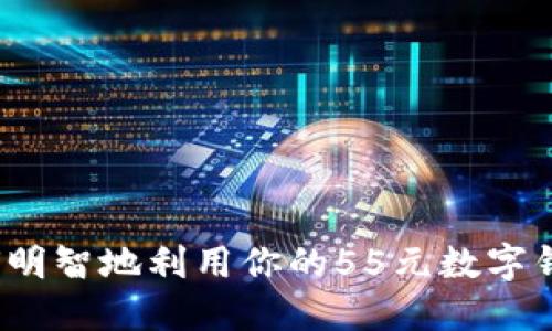 如何明智地利用你的55元數(shù)字錢包？